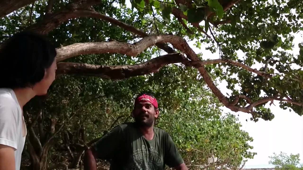 Gapanbulu from Yothu Yindi teaching Yidaki to Kentaro