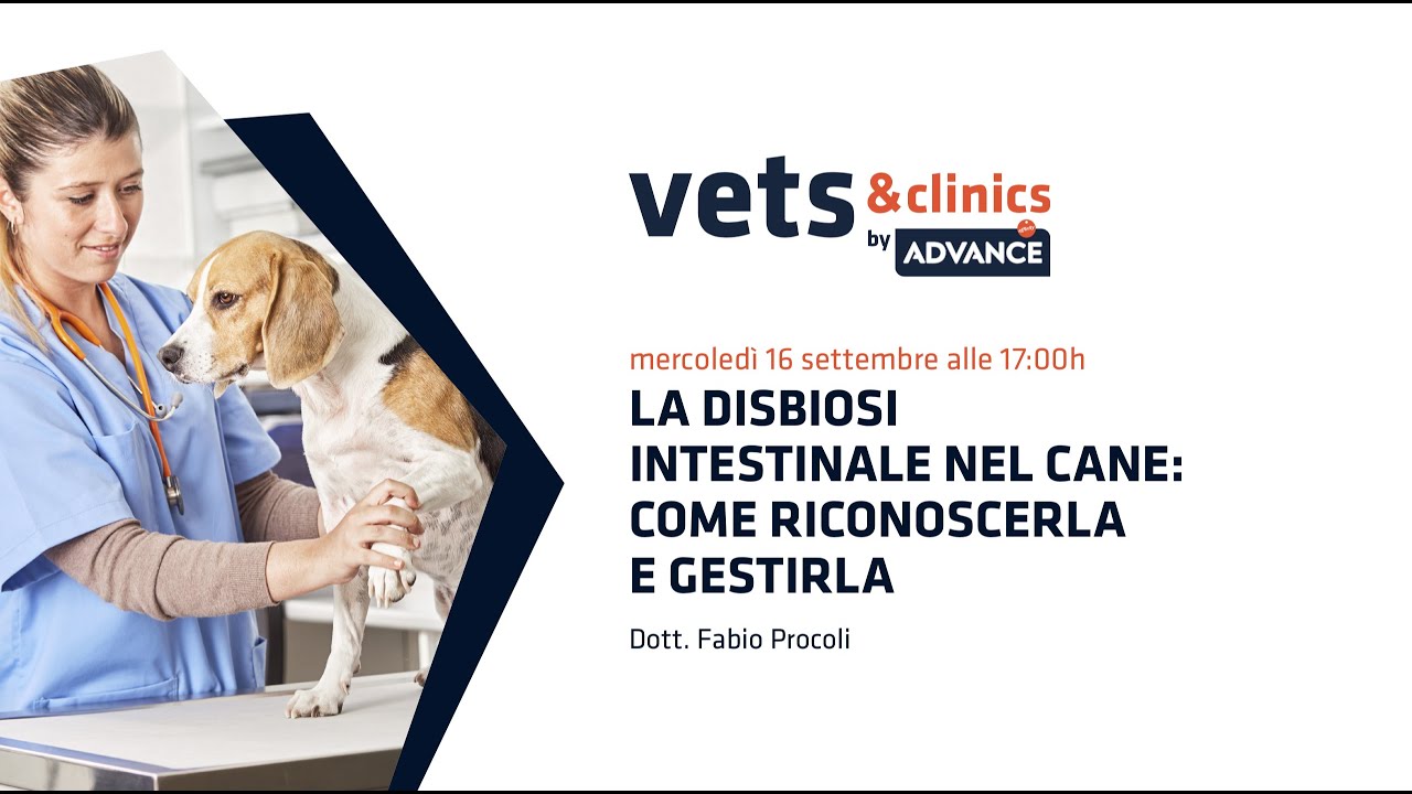 07.IT La disbiosi intestinale nel cane: come riconoscerla e gestirla (Dott. PROCOLI)