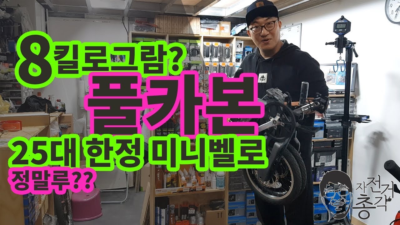 국내 25대 한정 8kg대 풀카본 미니벨로?
