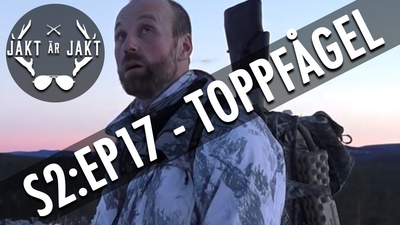 Toppfågeljakt i Dalarna