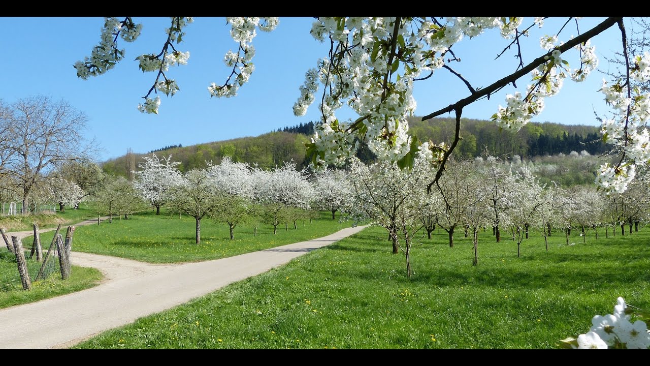 Fr&uuml;hling im Markgr&auml;flerland