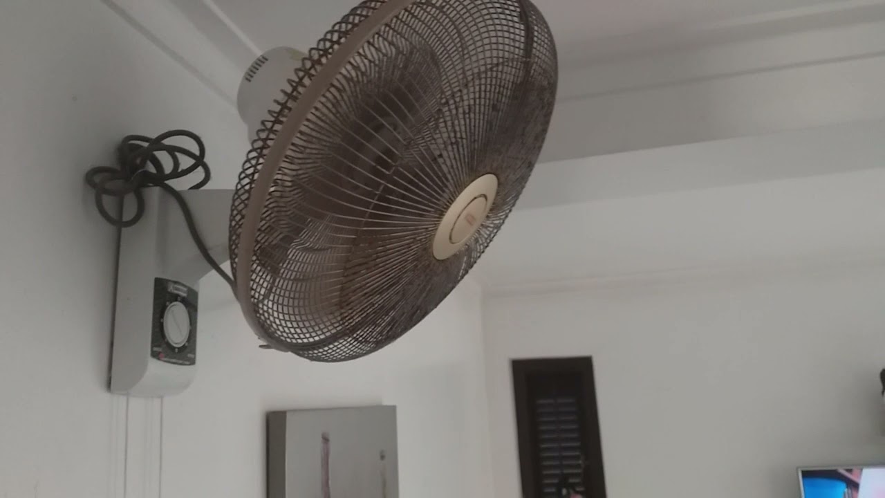 Khaleegia Wall Fan (20-year Old)