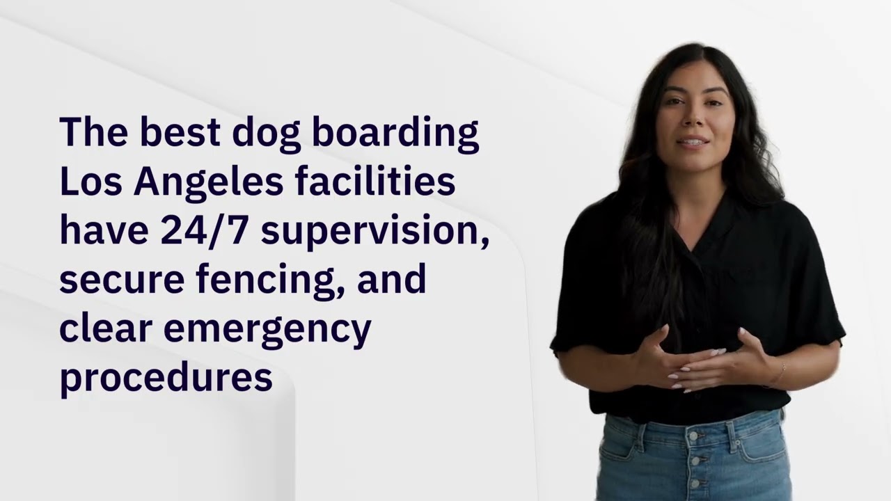 How to Prepare Your Dog for Boarding &ndash; Tips from Topanga Pet Resort 6
