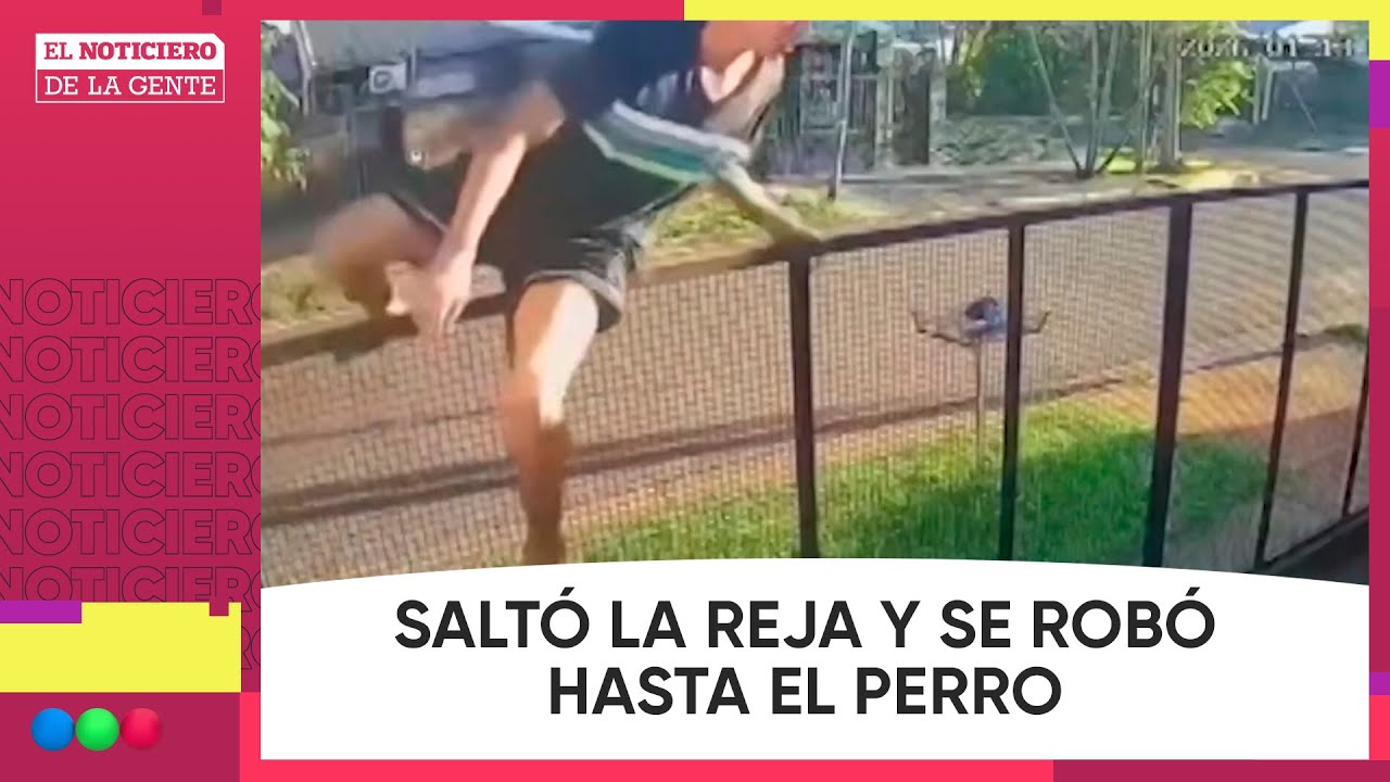SALTÓ la REJA y se ROBÓ hasta el PERRO #ElNotidelaGente