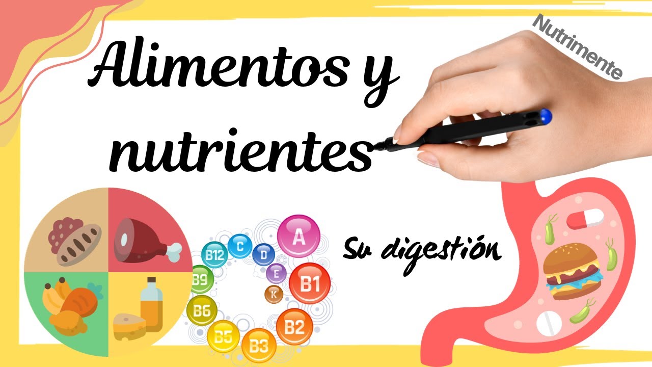Principales ALIMENTOS y NUTRIENTES (y su DIGESTIÓN)