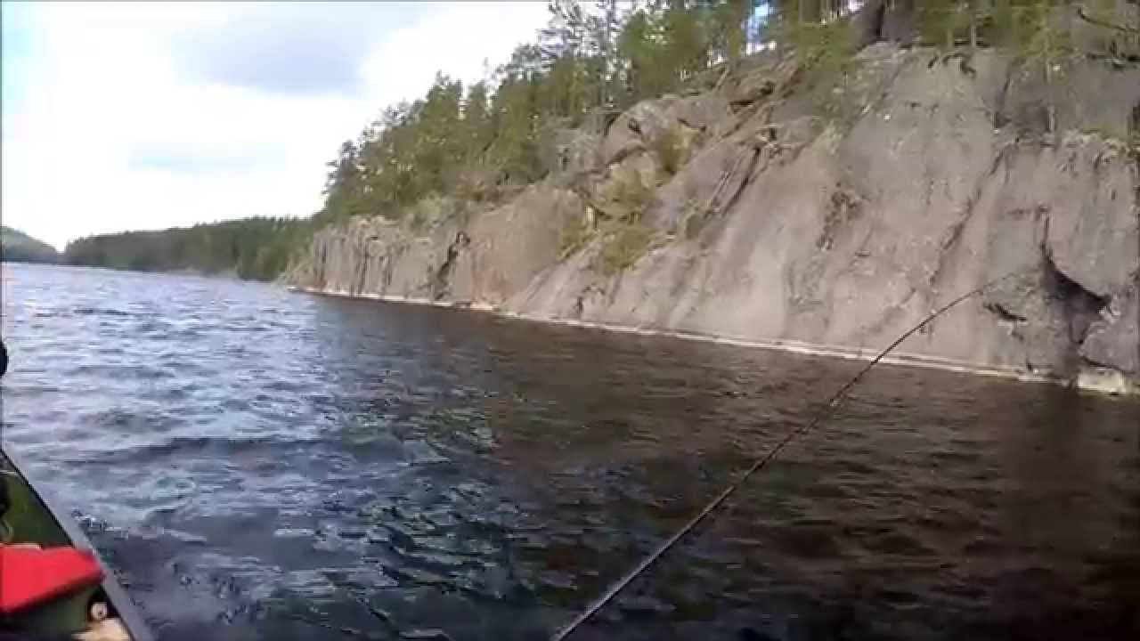 Canoeing in Kolovesi National Park 7.-8.9.2015