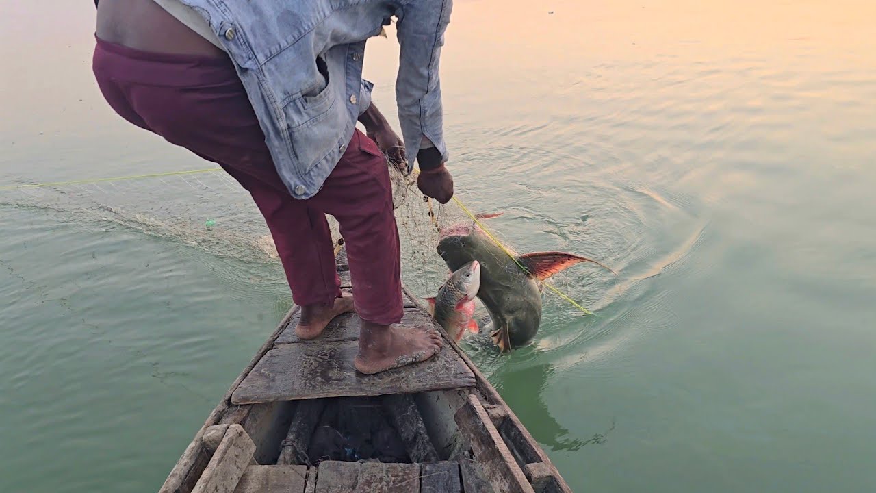 How are nets used to catch big fishes from river Ganga #fishhunting2 #machli #Netfishing 