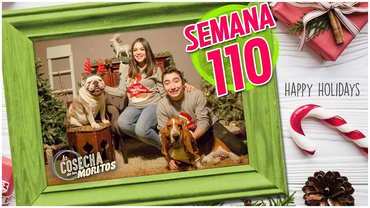 SEMANA 110 / NAVIDAD CON LOS MORITOS