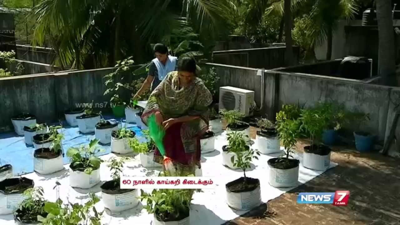 Terrace gardening: From Saplings to fully Grown Plants | Poovali | News7 Tamil