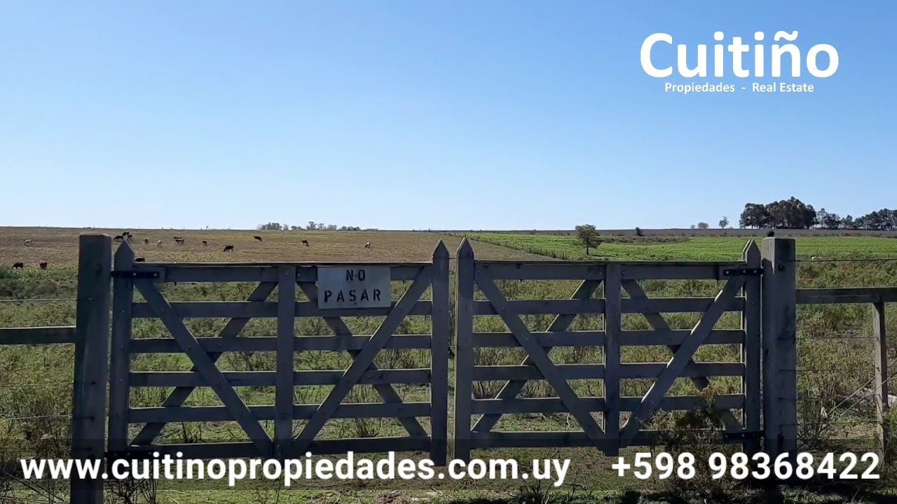 Lindo campo chacra de 5 hectáreas en ruta 11 en Atlántida Canelones Uruguay 🇺🇾 (YA VENDIDO)