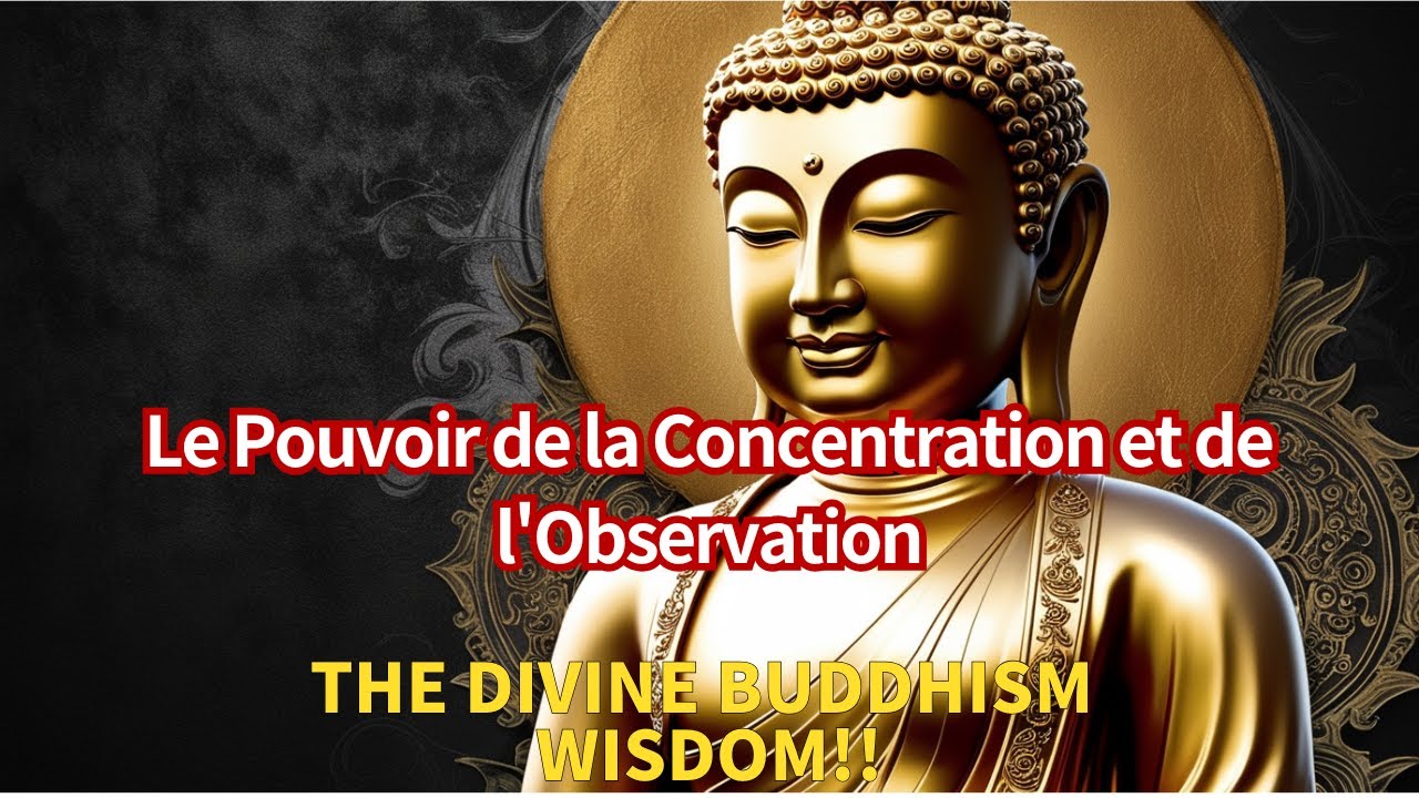 Le Pouvoir de la Concentration et de l'Observation