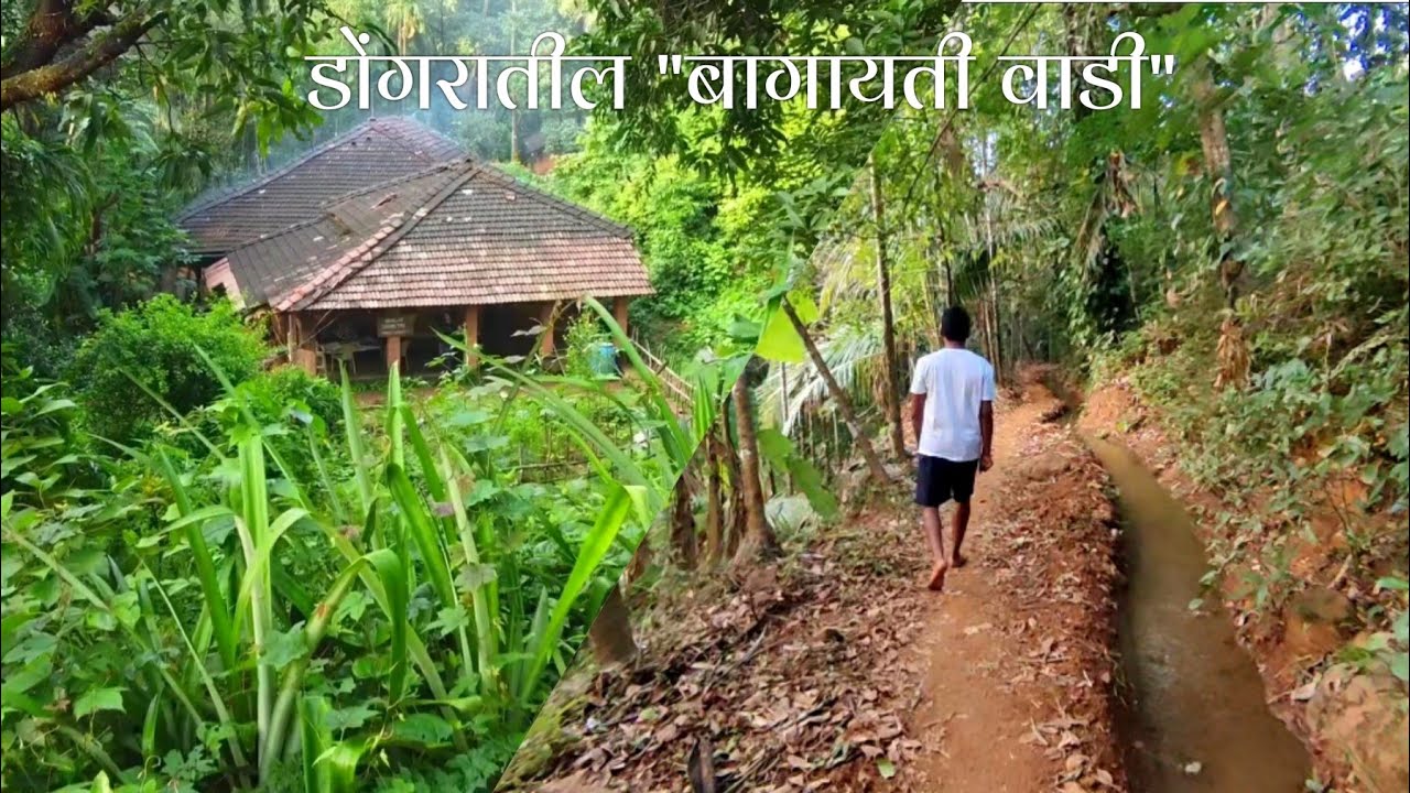 झऱ्याच्या पाण्यावर