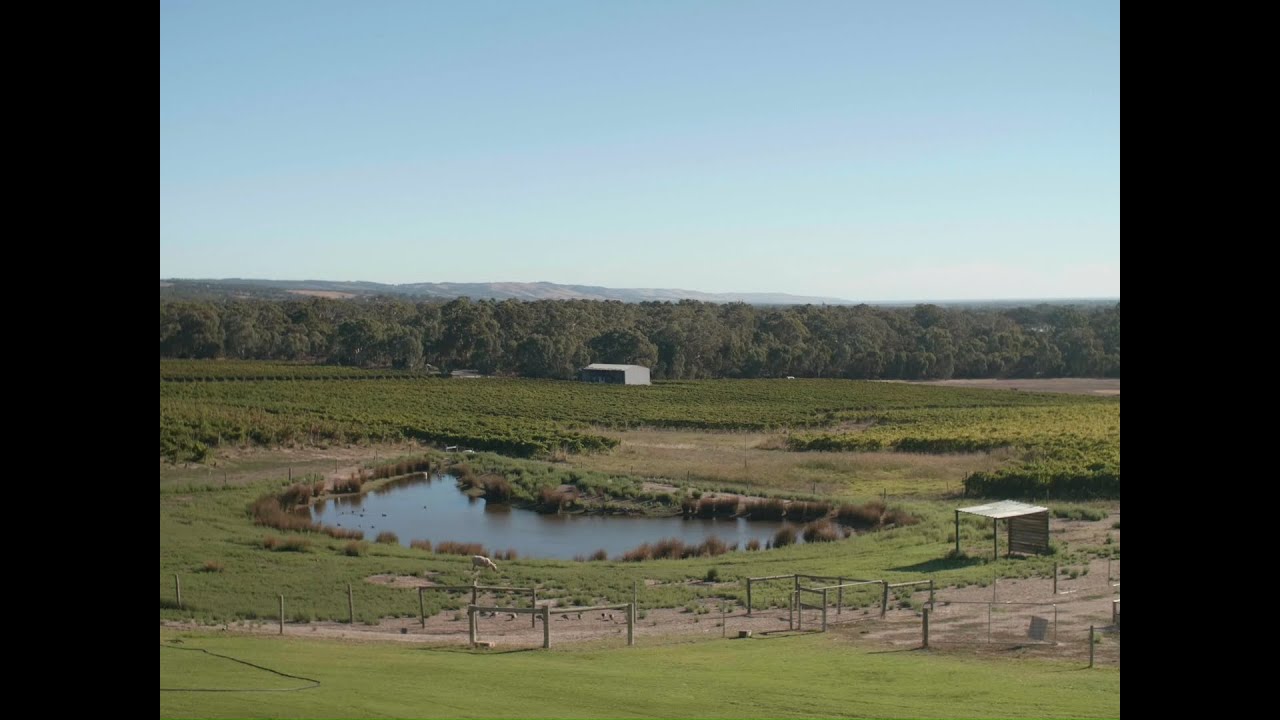 Gemtree Wines, McLaren Vale. Biodynamic Wines Grounded in Earth.