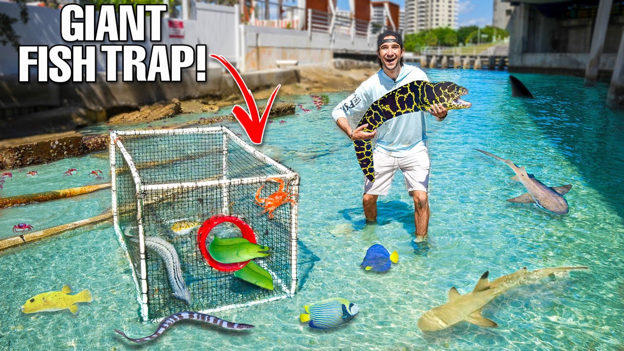 Saltwater FISH TRAP Catches MORAY EELS And EXOTIC FISH To Stock My POND!