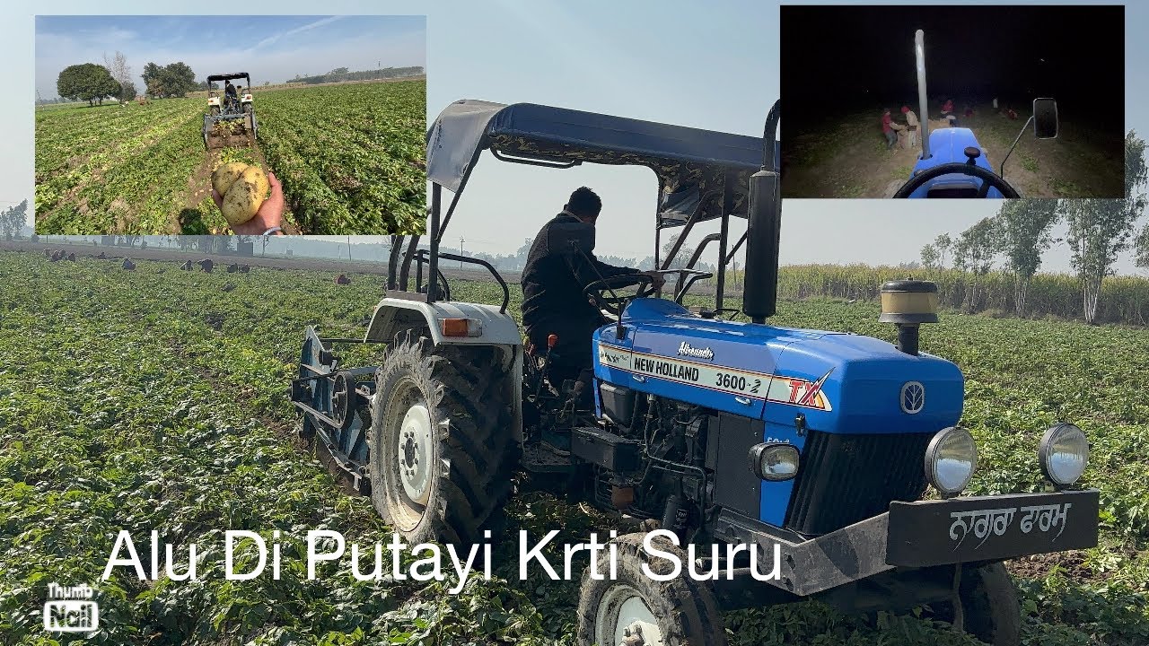 Night duty alu di putayi / #trending #farming #jattlife 