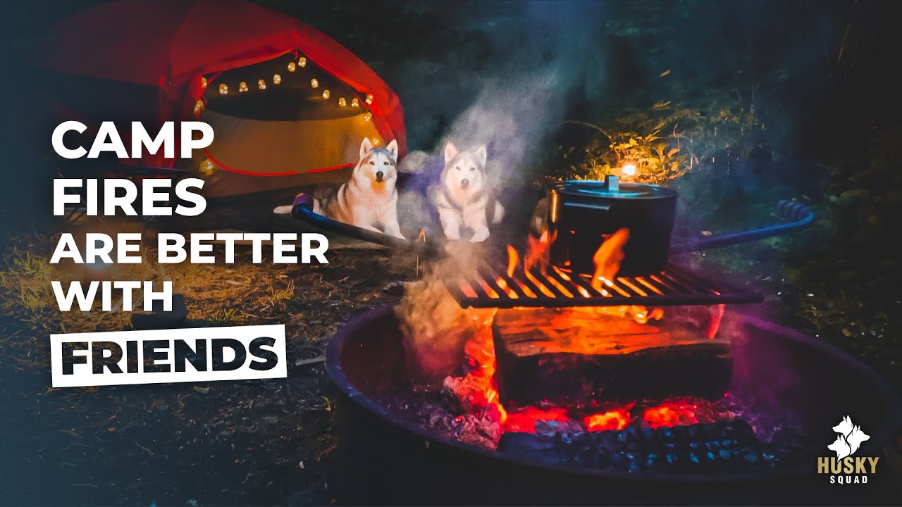 COZY Camping and Hiking With Dogs + ENCHANTED Oregon Forest | Husky Squad