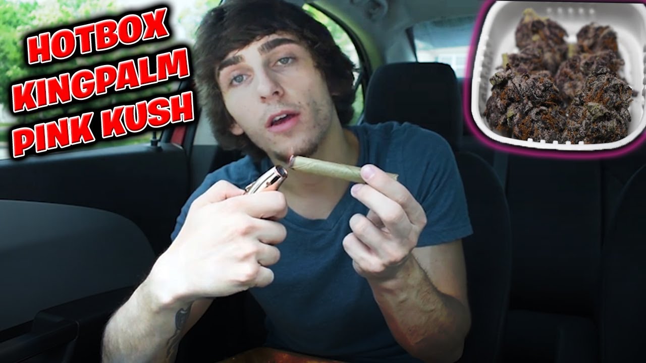 King Palm Hotbox! *Pink Kush #smokesesh