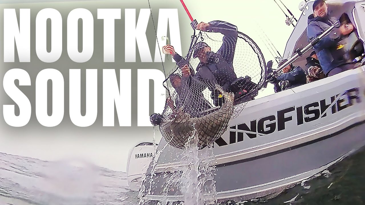 Nootka Sound is a Salmon Paradise