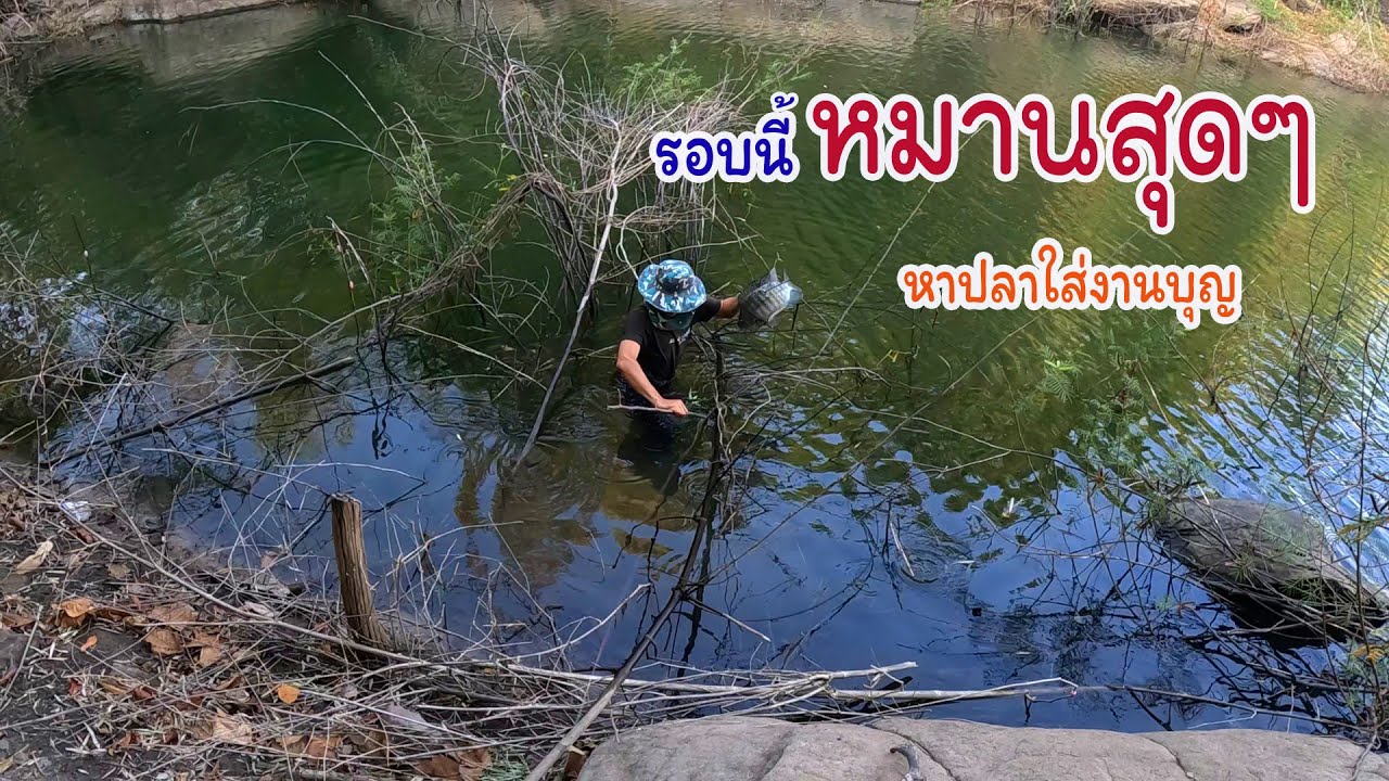 หมานส่งท้าย หาปลามาใส่งานบุญกับน้าหัว