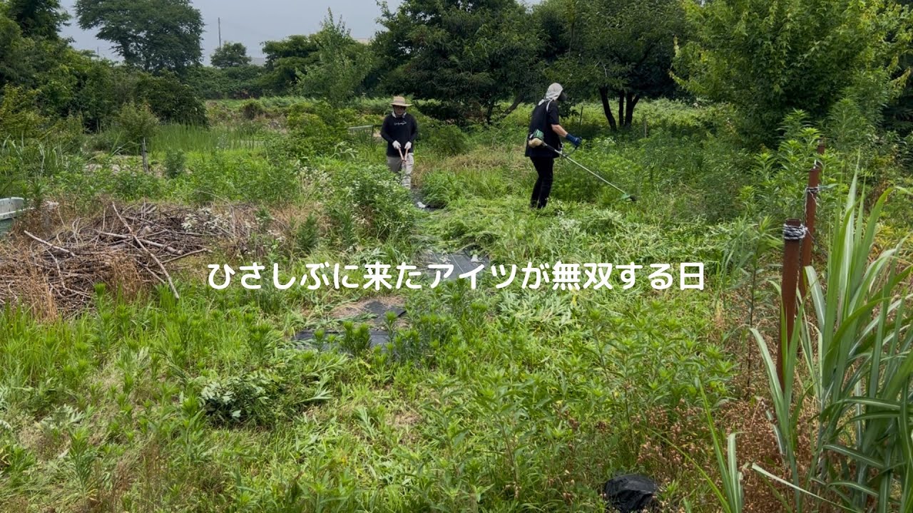 ひさしぶりに来たアイツが無双する日