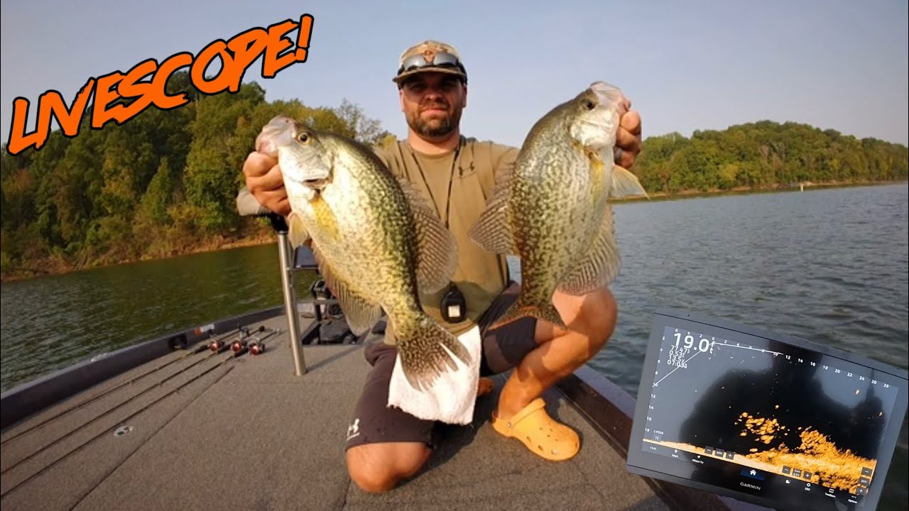 Fall Crappie Fishing on Nolin Lake #livescope #crappiefishing #crappie #fishing 