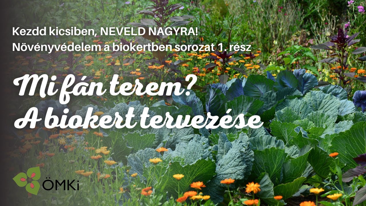 Növényvédelem a biokertben sorozat 1. rész: Mi fán terem? A biokert tervezése