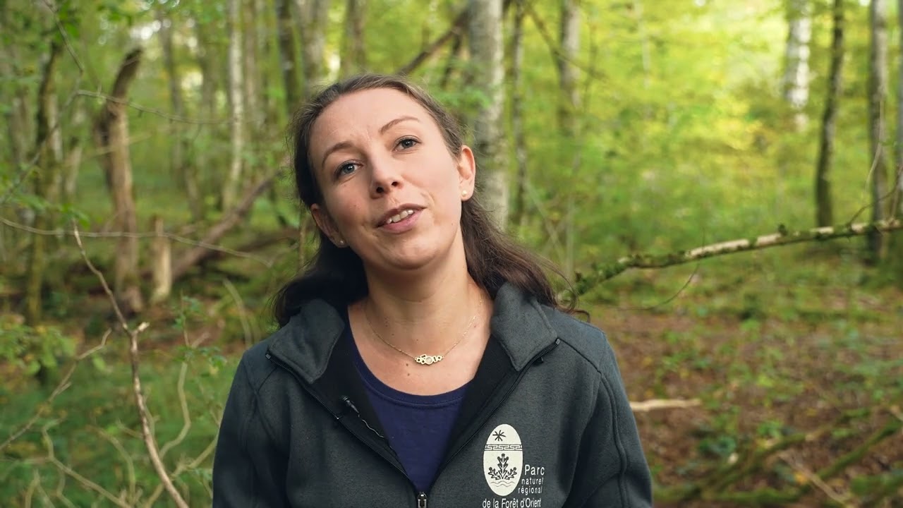 NOTRE TERRITOIRE, NOS ESPACES DE NATURE 🎥🌳 FORÊT D'ORIENT 1/3 : Historique et charte forestière