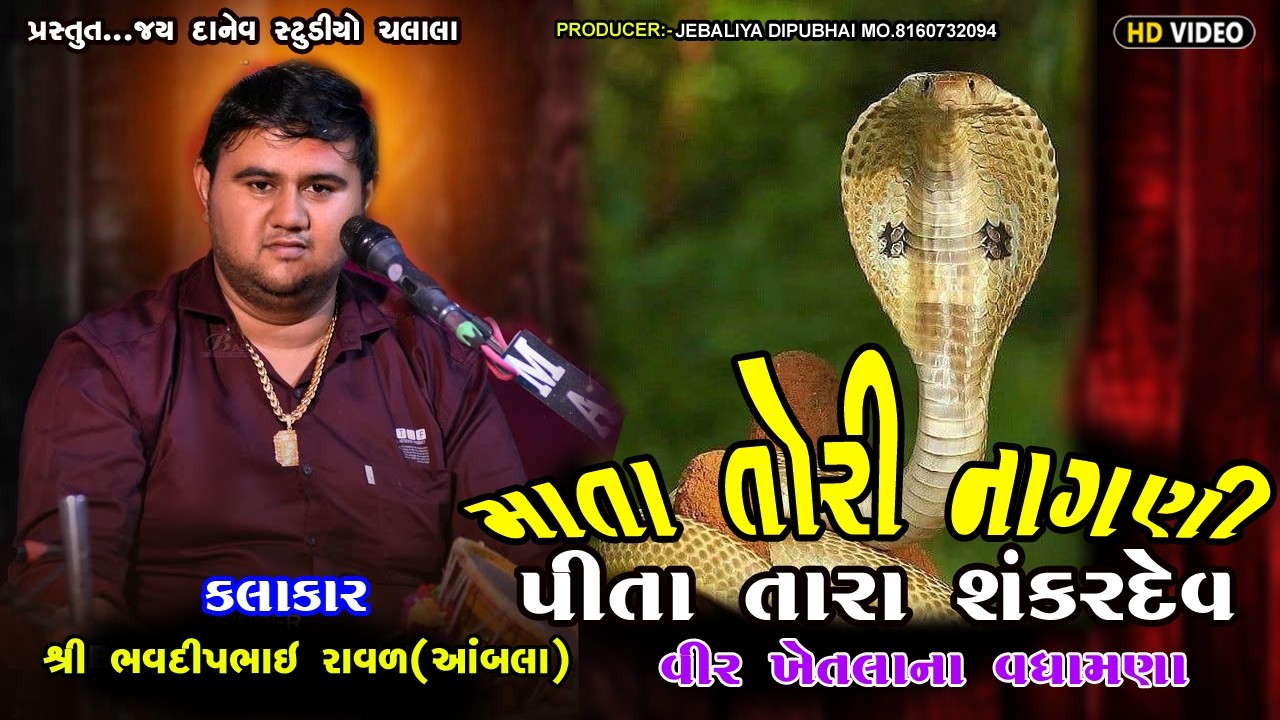 માતા તારી નાગણી પિતા તારા શંકર || Mata Tari Nagani Pita Tara Shankar Dev || Bhavdip Raval ||#djremix