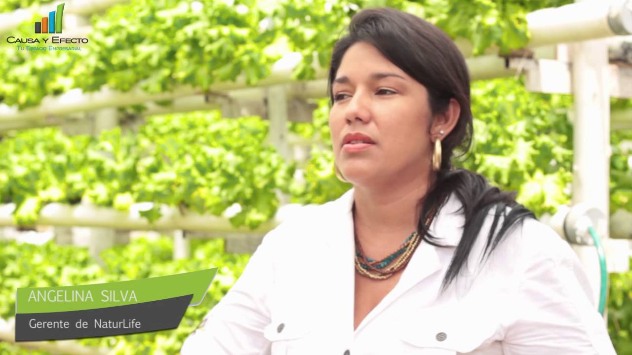 LECHUGA HIDROPONIA EN PIURA - Causa y Efecto 1er Programa