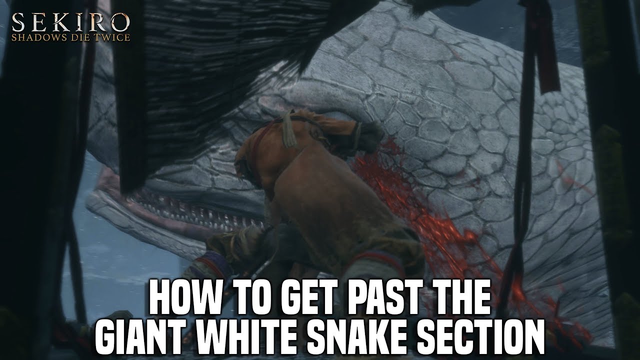Sekiro Shadows Die Twice - How To Get Past The Giant Snake