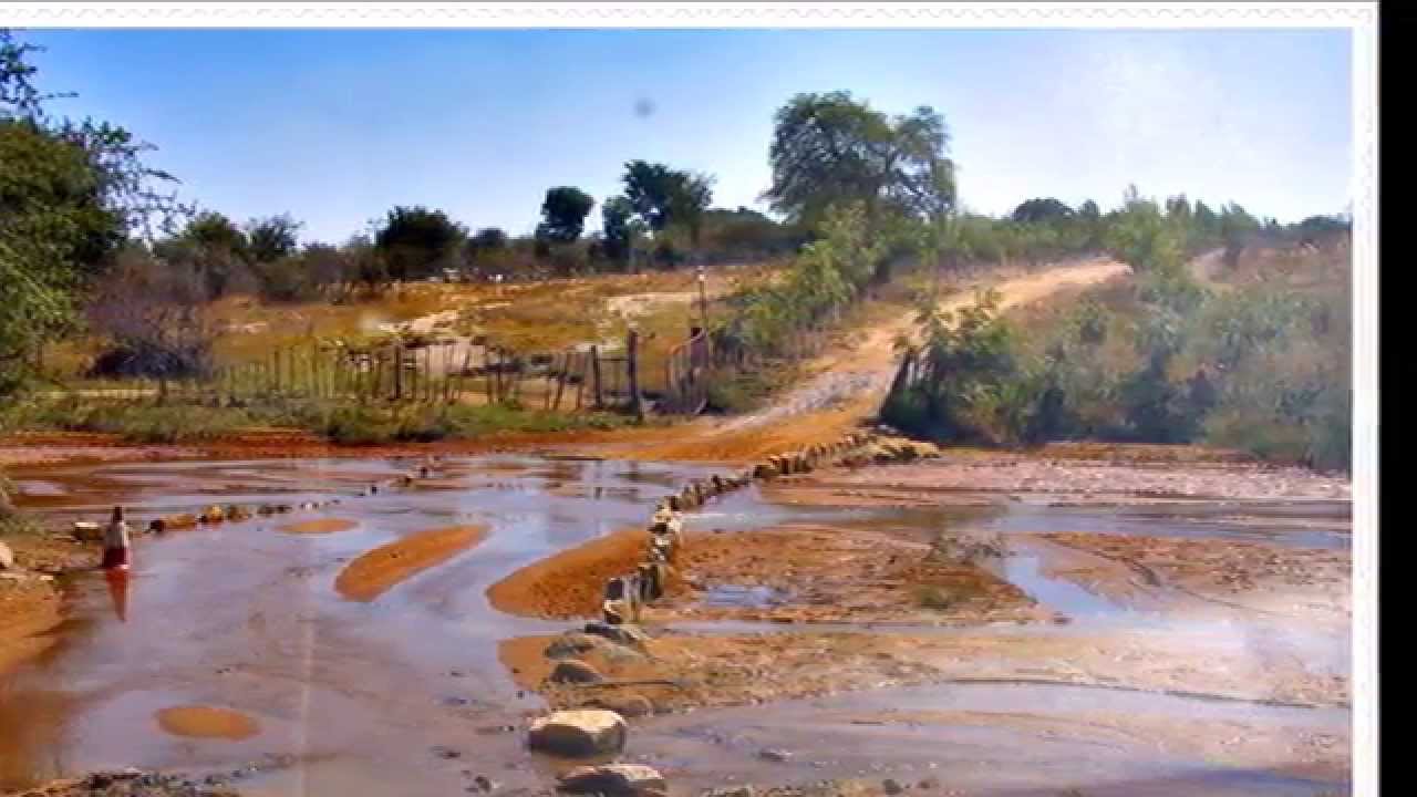 Por essas Picadas de Angola