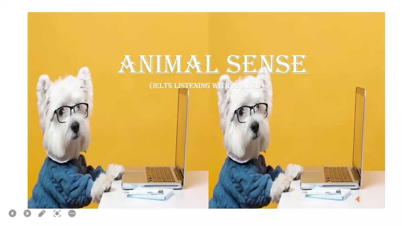 MINI IELTS Listening | ANIMAL SENSE | Listening with Online IELTS Test
