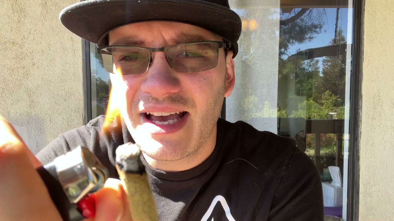 Triple 7 Infused Pre Roll Wedding Cake Review [Live Resin + Kief Infused]