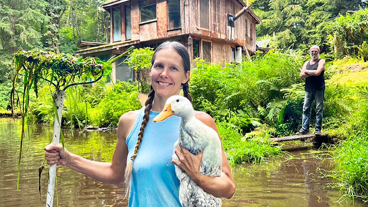 Our Ducks Help Clean Neighbor Al's Pond