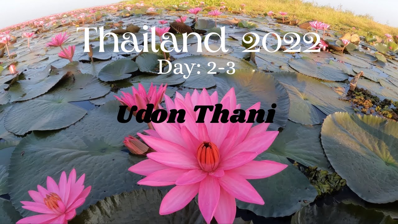 Exploring Udon Thani on Day 2 & 3 in Thailand (2022)