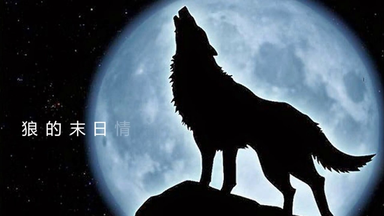 直到世界末日 -   狼 的末日情怀 - 致敬 齐秦