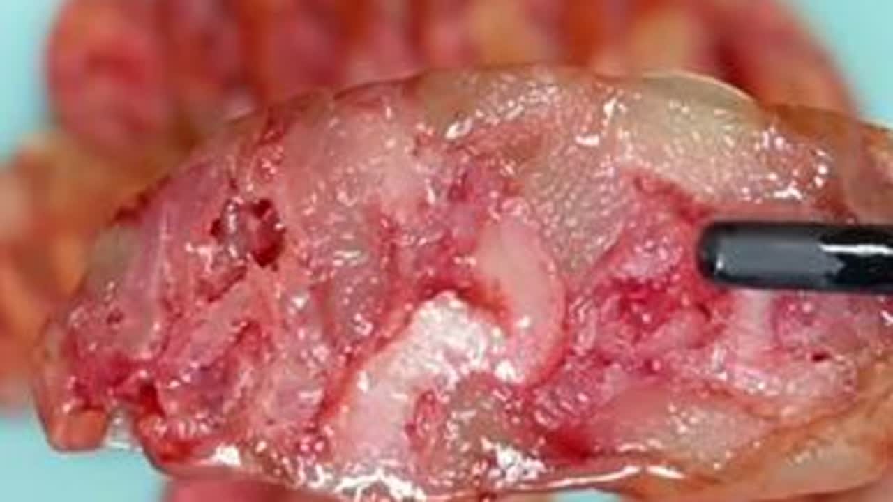 想吃广味腊肠不用等到冬天，教你2种方法随时可以做，4天就可以吃#自制香肠 #腊肠 #抖音美食创作人