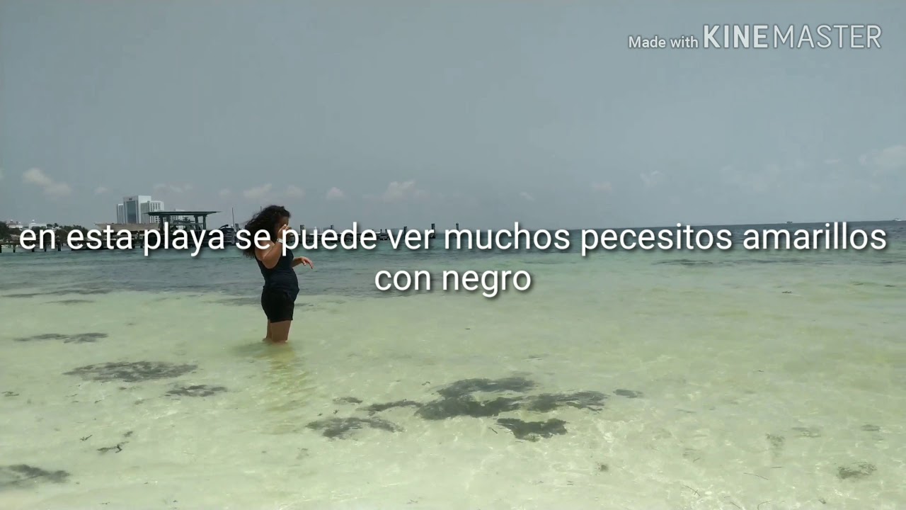 SARGAZO CANCUN JULIO 2019 (2 de julio)