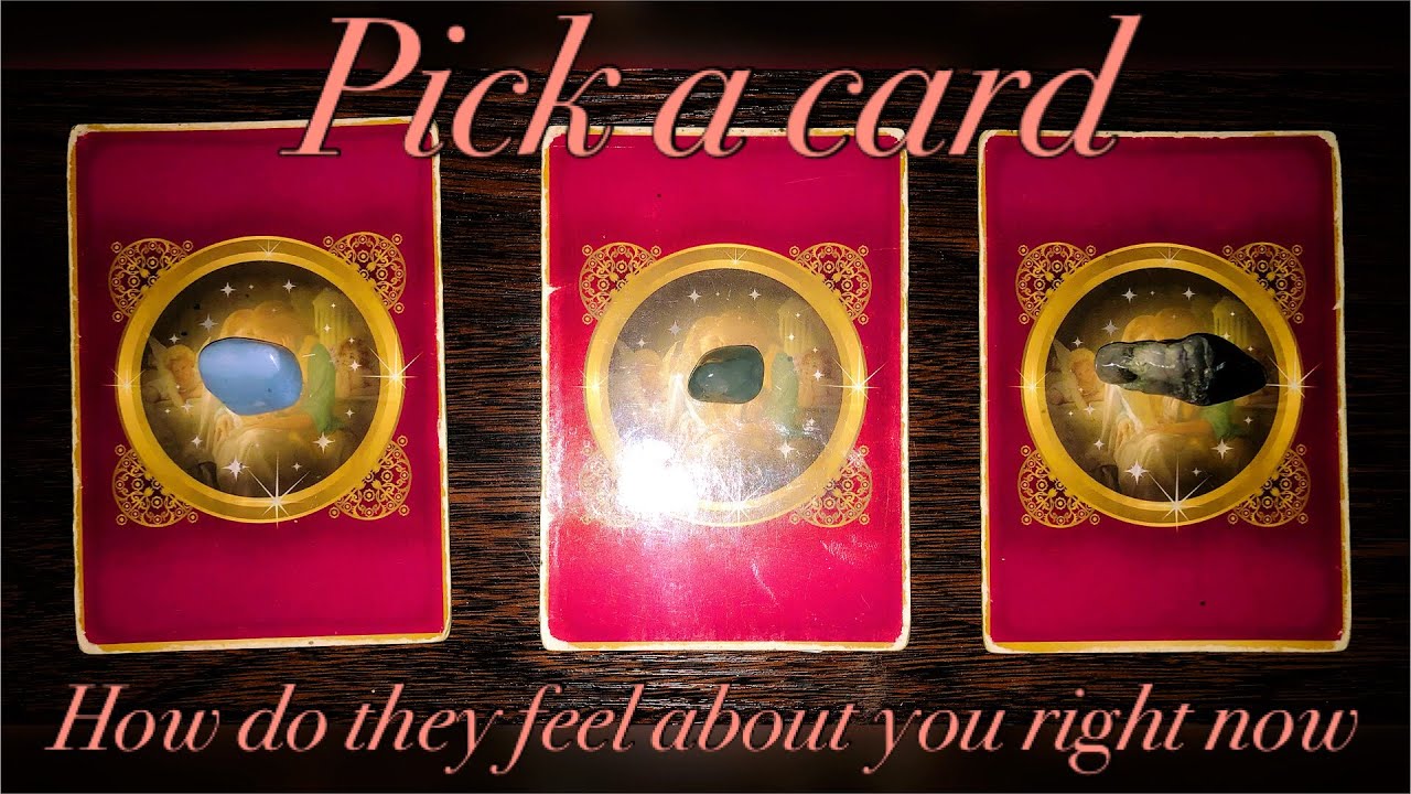 How do they feel about you right now🥰💕🤗| Pick a card |  Love tarot reading| Timeless