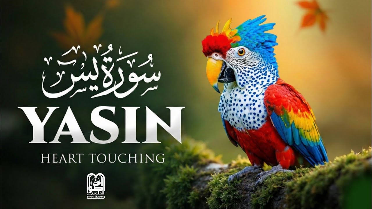 🌙 Surah Yasin سورة يس | Emotional & Soul-Healing Tilawat | A Journey to Inner Peace Aswat Al-Quloob