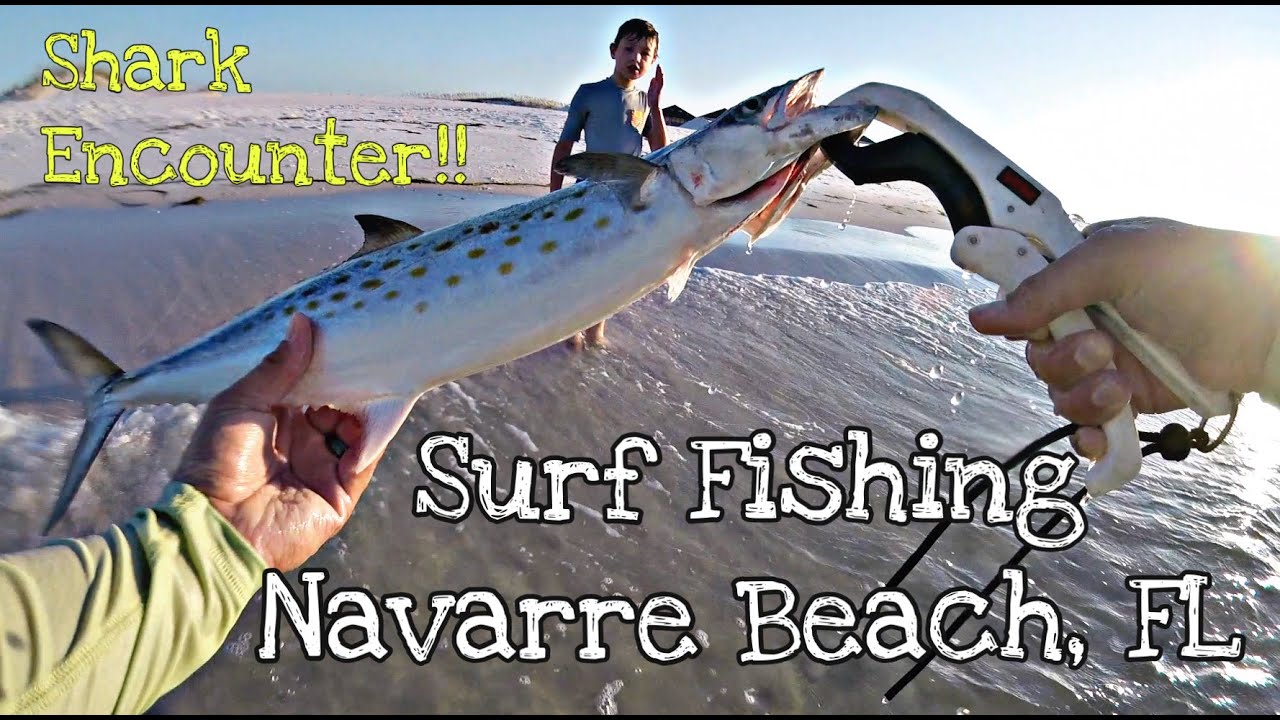 Surf Fishing Navarre Beach, FL - Shark Encounter!!! (Mackerel, Blue Fish, and Lady Fish)