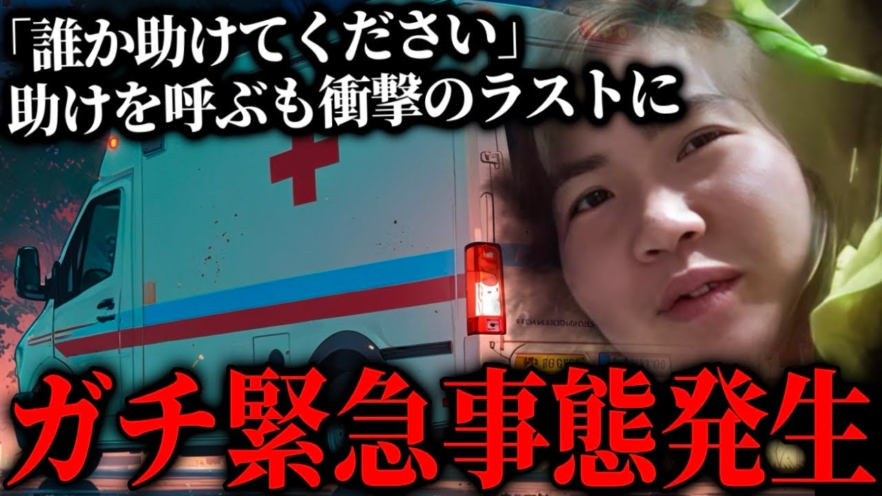 大問題が発生する最悪の展開…緊急事態のシングルマザーからSOSの電話が来る、とある病気を発症した女性（インコおばさん）と通話するコレコレ【2024/11/14】