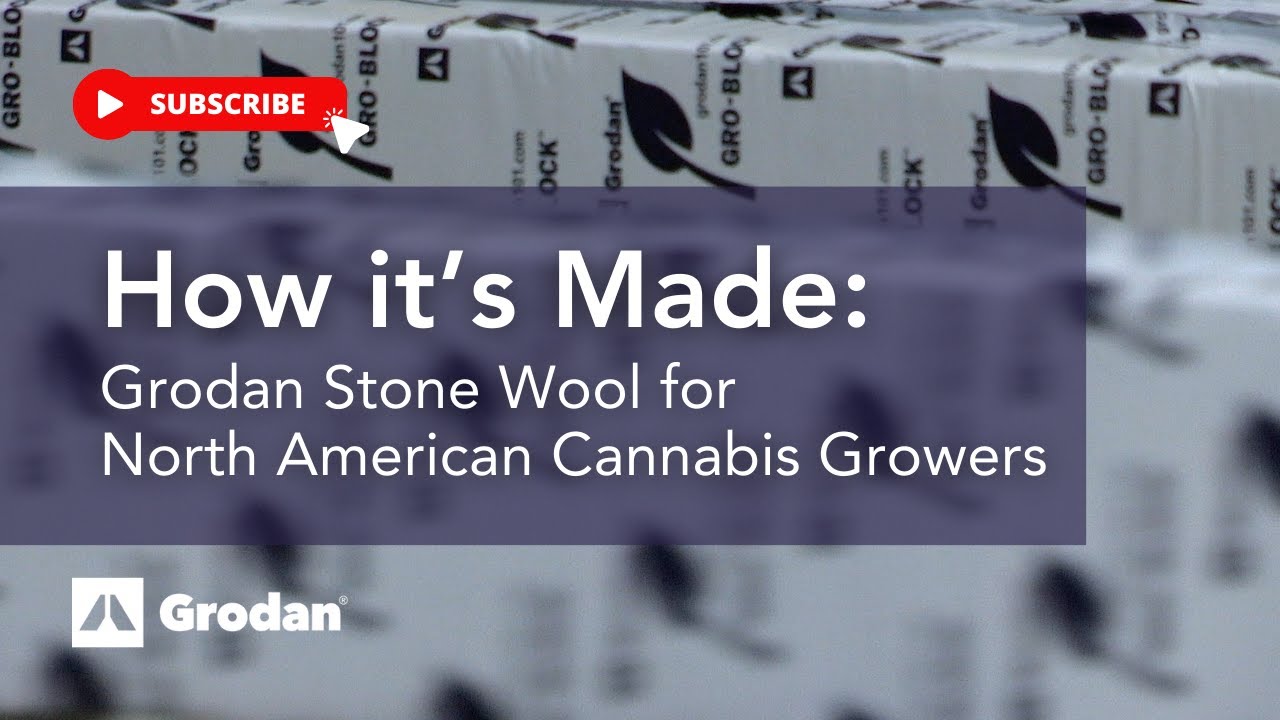 How it&rsquo;s Made: Grodan Stone Wool for North American Cannabis Growers