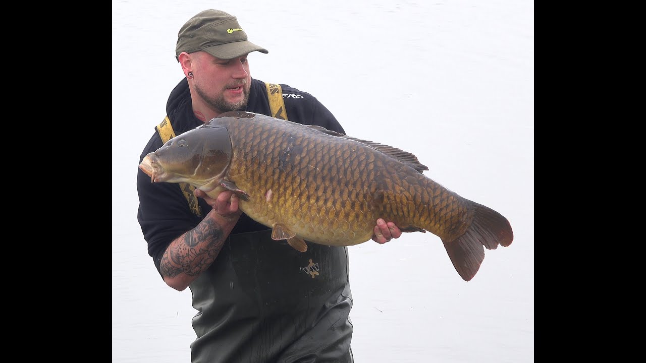 Schubkarper 22 kilo in plas Kraaiennest