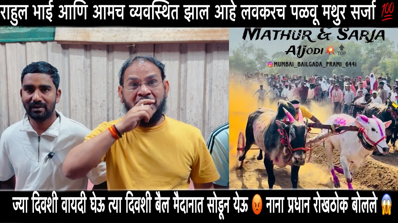 मथुर घोट सर्जा आणी बकासुर लवकर पळवू 😍राहुल भाई आणि आमच व्यवस्थित झाल आहे 💯 