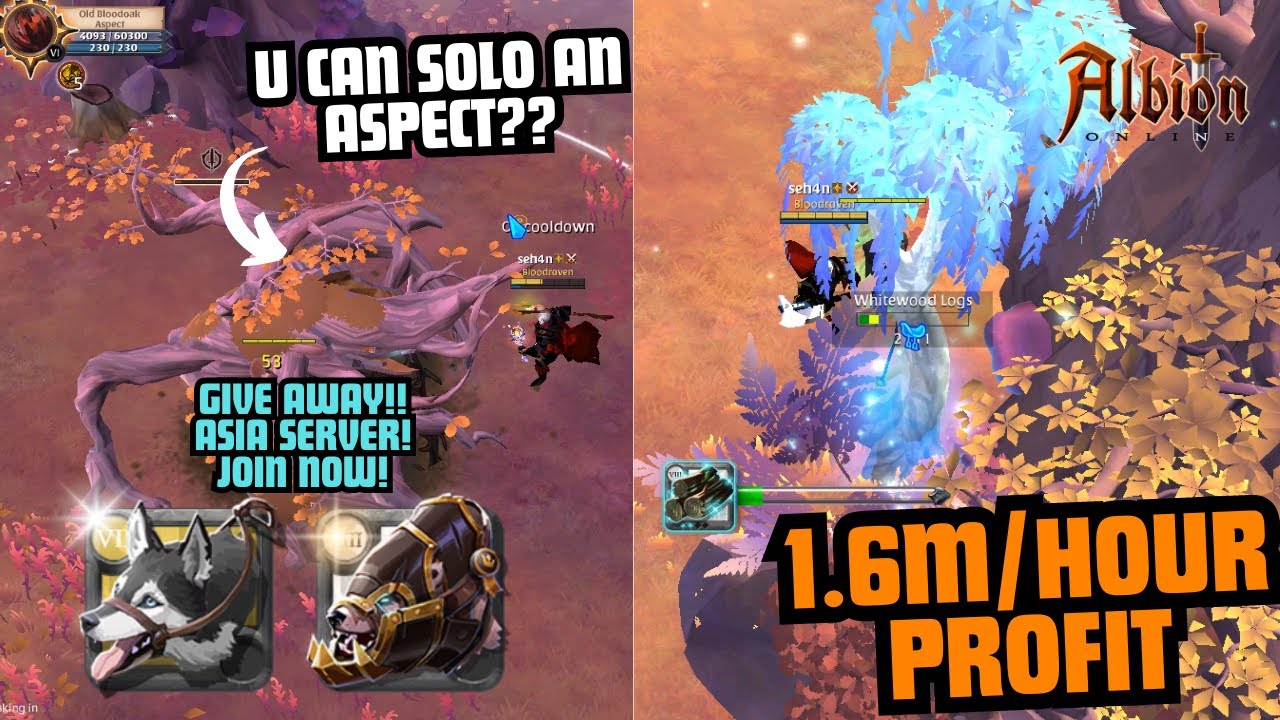 Solo Gucci Gatherer in Roads(killed an aspect solo)#2|AlbionOnline|Asia GiveAway|#albionmoneymaking