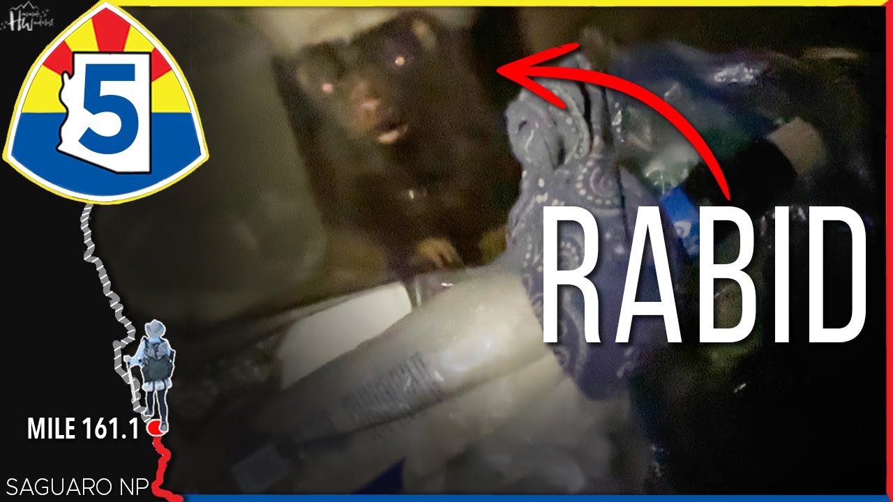 Episode 5: The Scariest...WEIRDEST Animal Attack I've Ever Experienced (🌵Arizona Trail 2025)