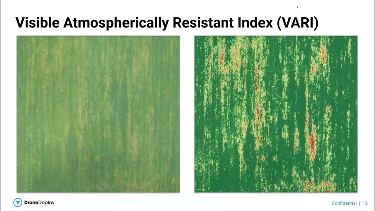 Friend with FieldView - DroneDeploy
