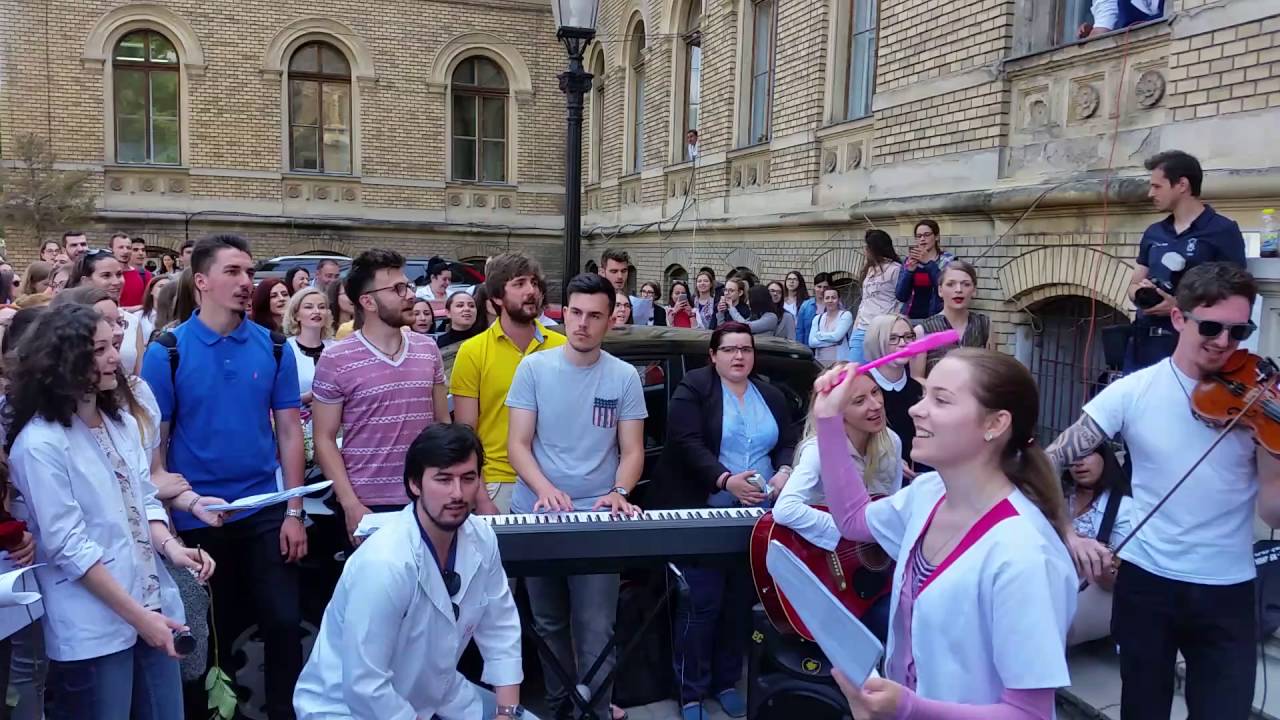 Serenade UMF Cluj 2016 Andrii Popa - Anato, Morfopat & Legala