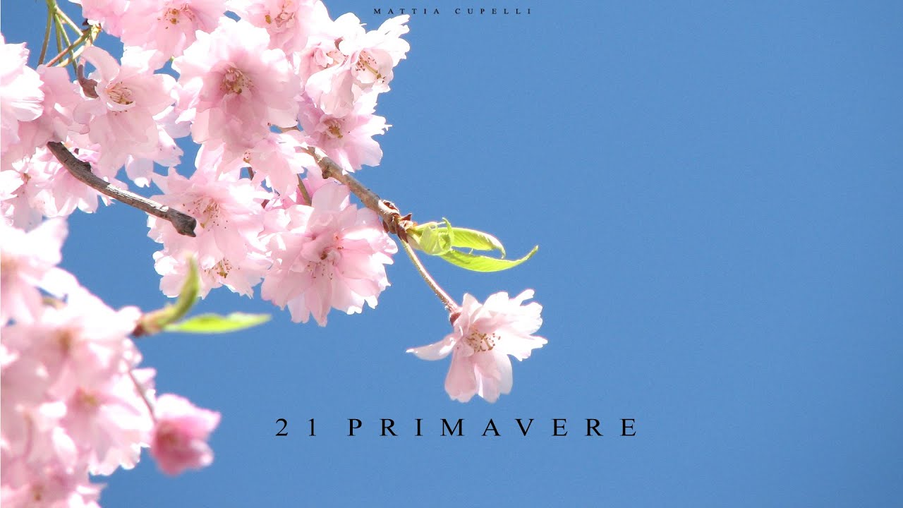 Emotional Epic Piano Strings Orchestral Music | 21 Springs